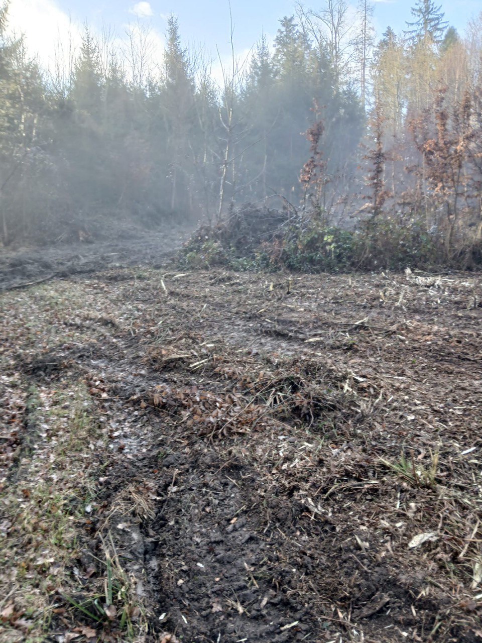 Fertig gemulchte Fläche