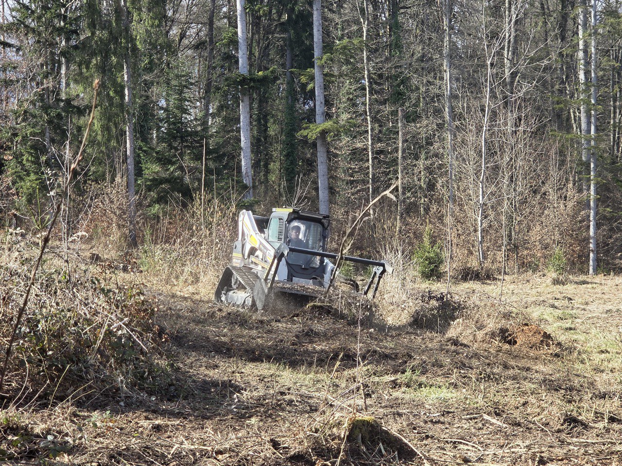 Forstmulcher bei der Arbeit im Wald