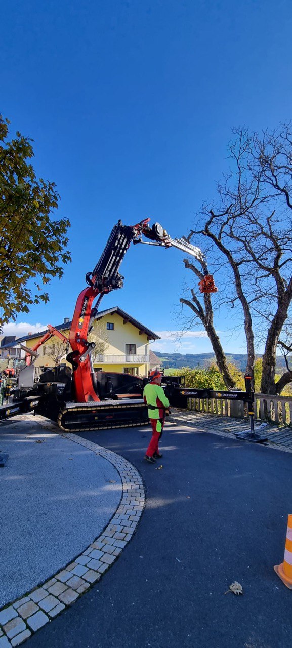 Montagekran bei Problembaumfällung