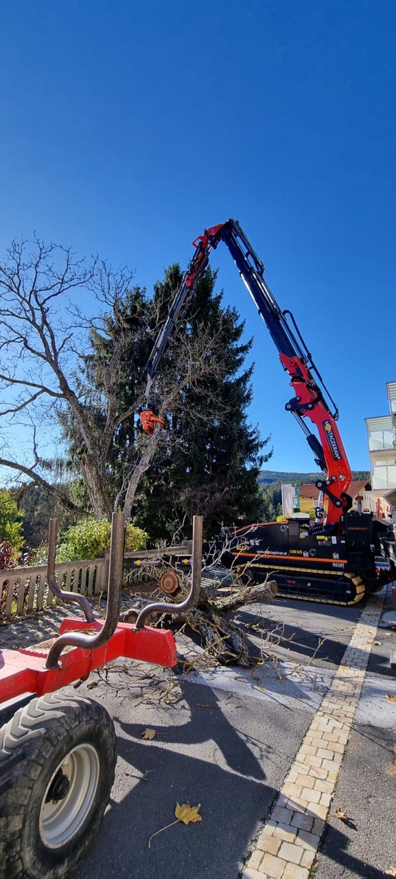 Montagekran fällt Baum