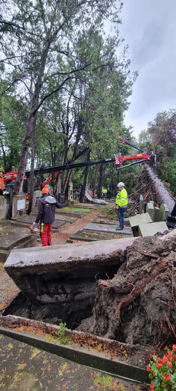 Sturmschaden-Beseitigung mit Kran