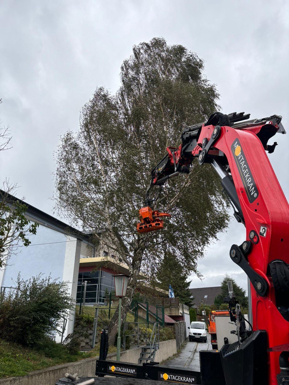 Montagekran greift Baum