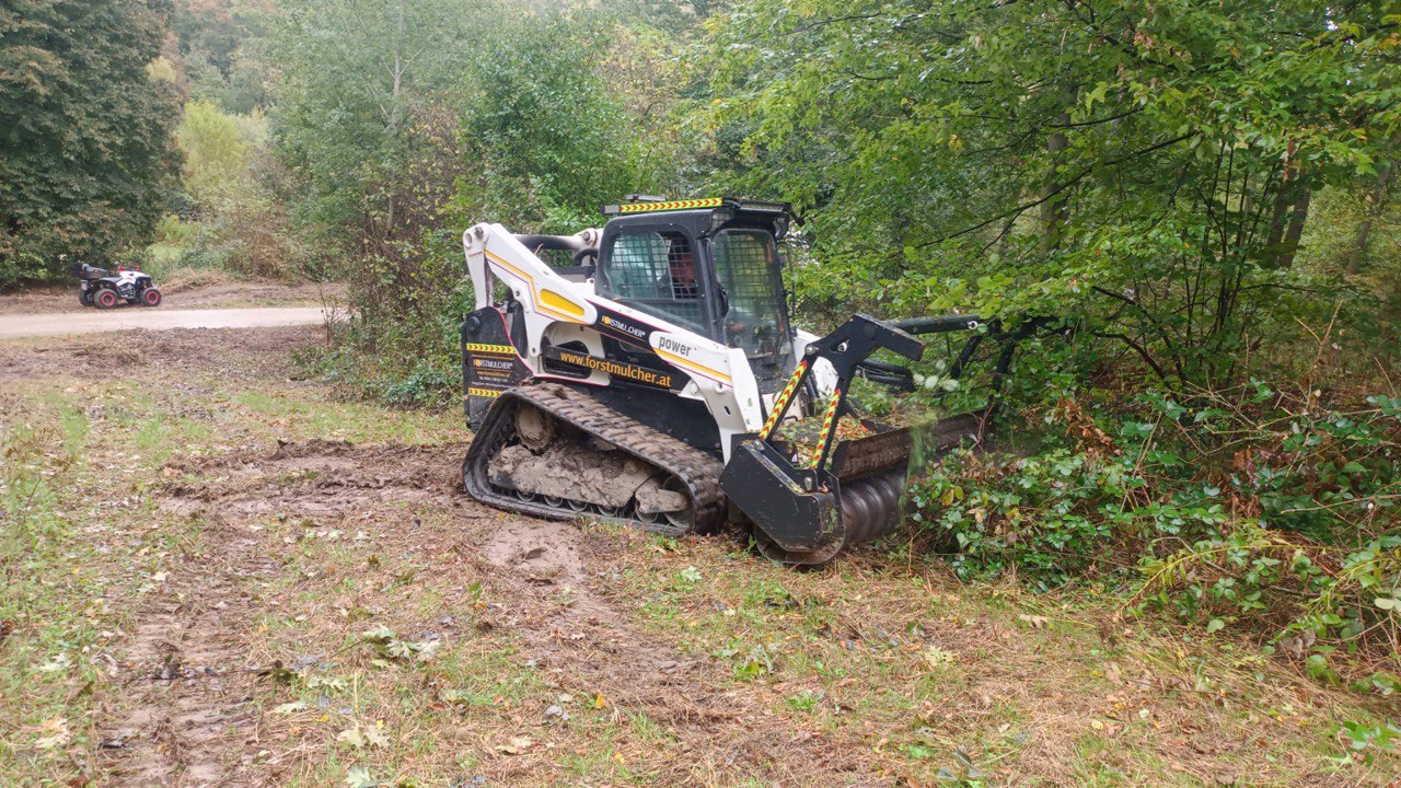 Forstmulcher im Wald