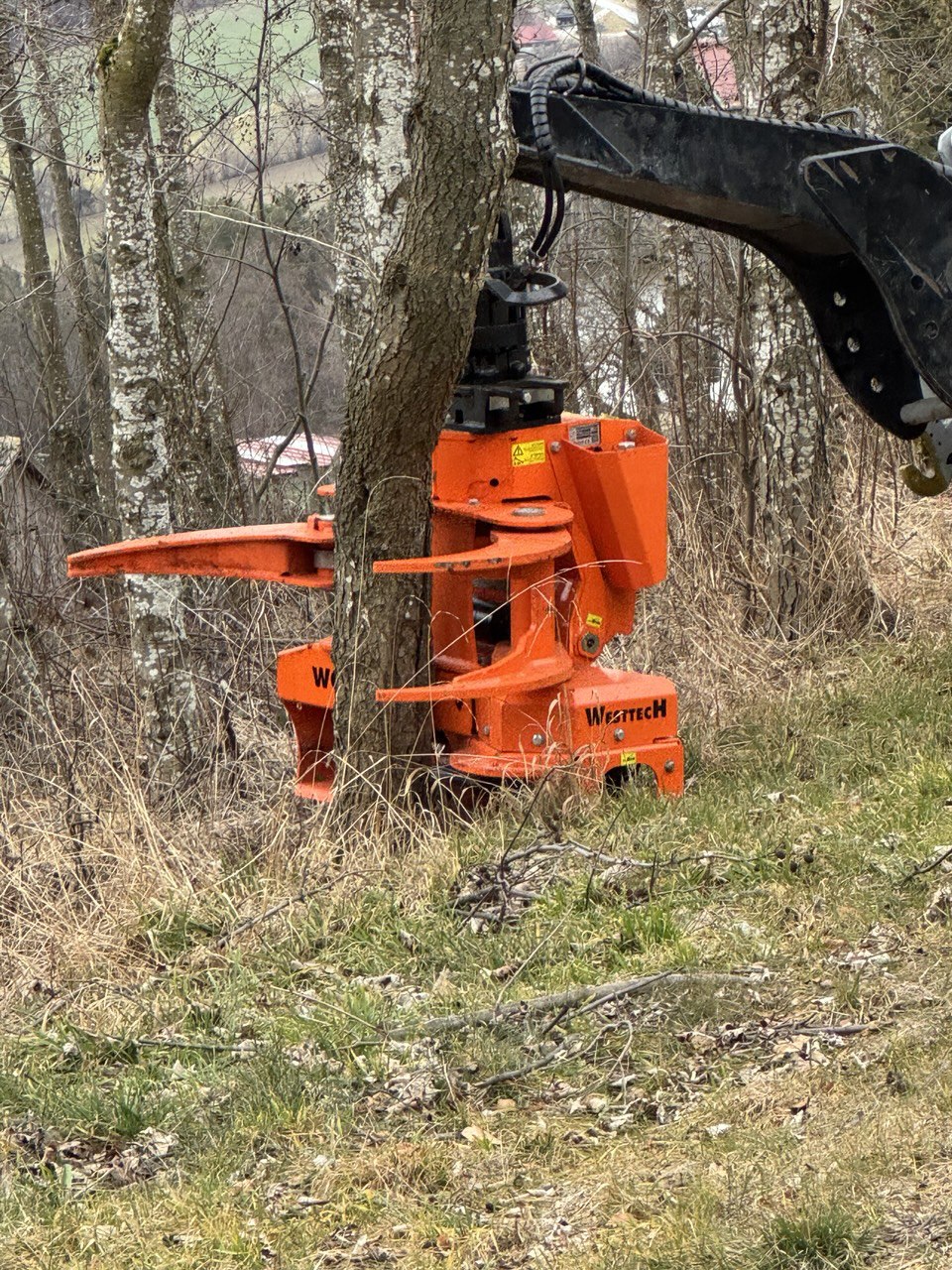 Westech Fällgreifer Nahaufnahme