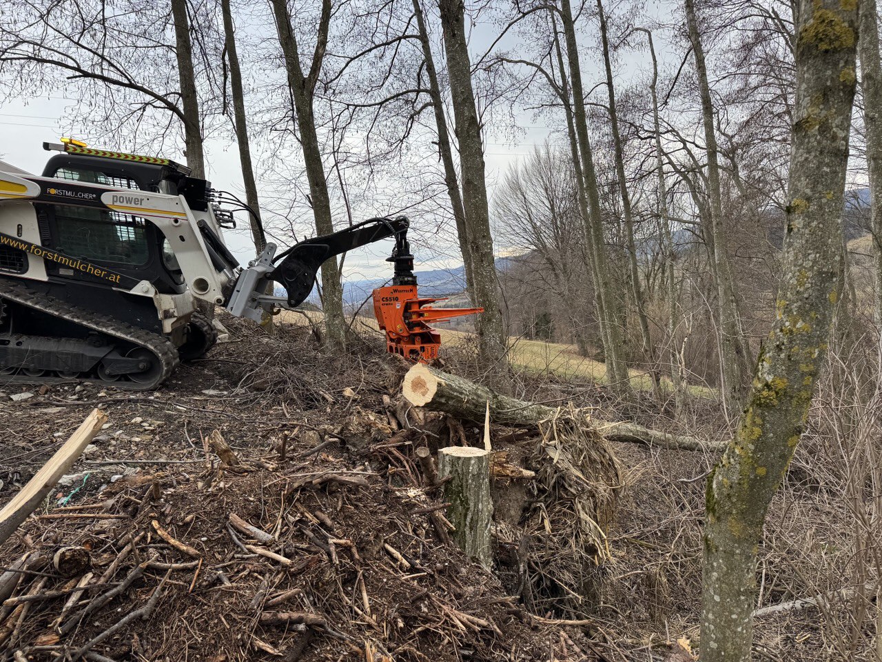 Fällgreifer bei Baumfällung