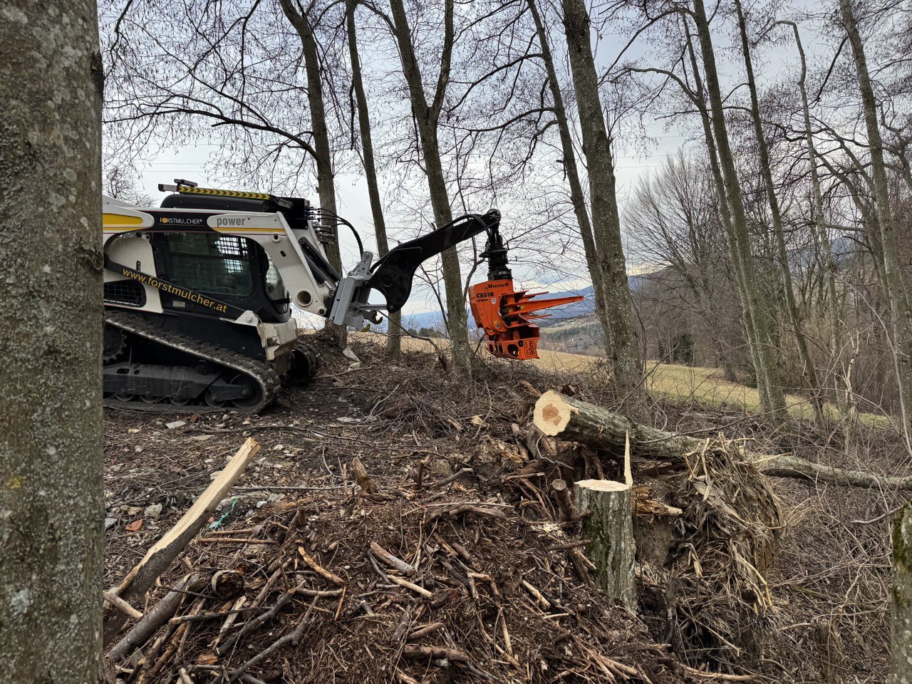 Fällgreifer im Waldgebiet
