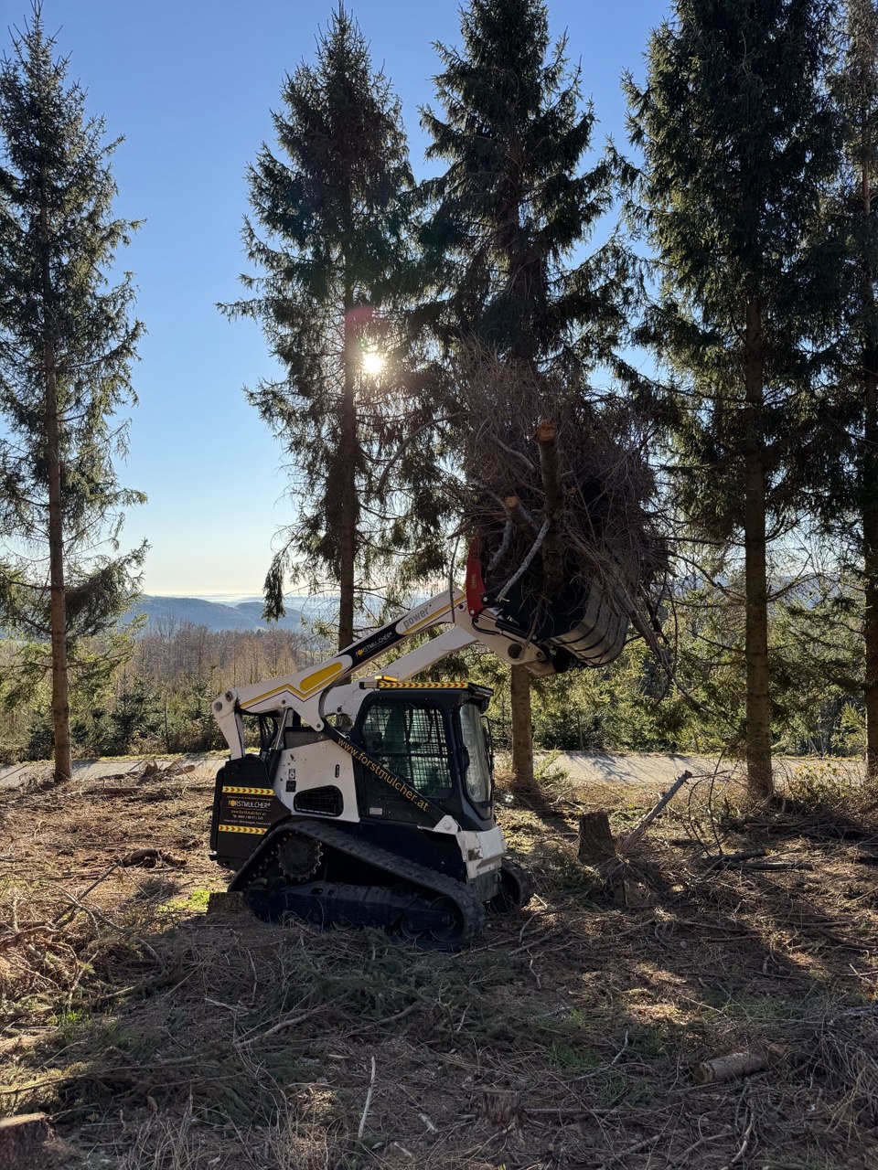 Raupenlader beim Räumen