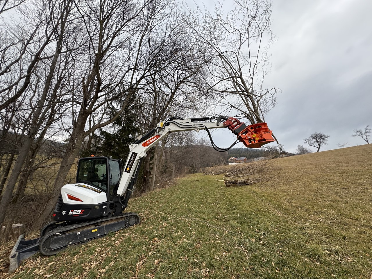 Bagger mit Fällgreifer auf Wiese