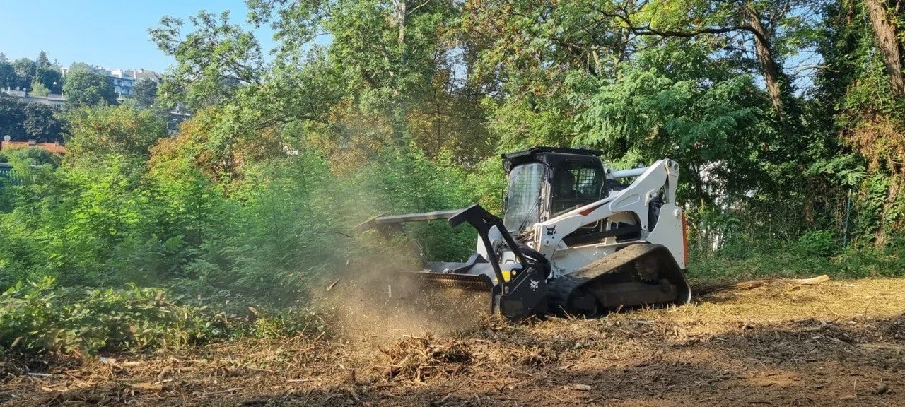 Forstmulcher zerkleinert Sträucher und Aufwuchs direkt auf der Fläche